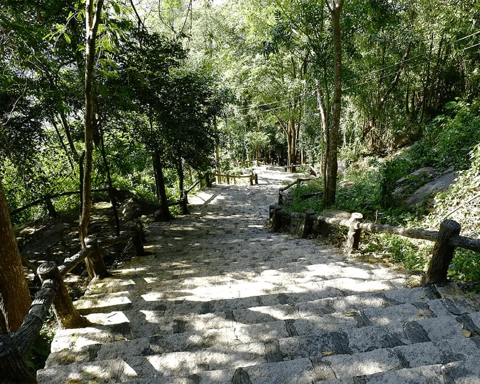 Dã ngoại - leo núi
