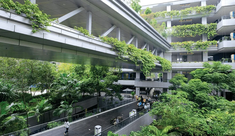 Thiết kế Biophilic