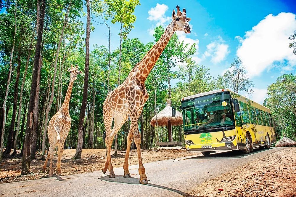 Vinpearl Safari