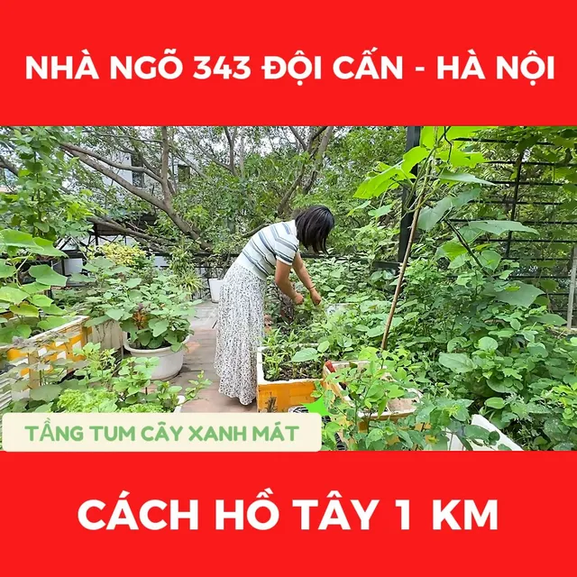 Nhà phố trung tâm – cách Hồ Tây 1km