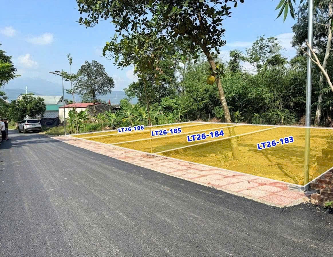 04 lô F0 tại trục chính Đồng Ăng - Kim Long Tam Dương chỉ  1.050 tỷ/lô